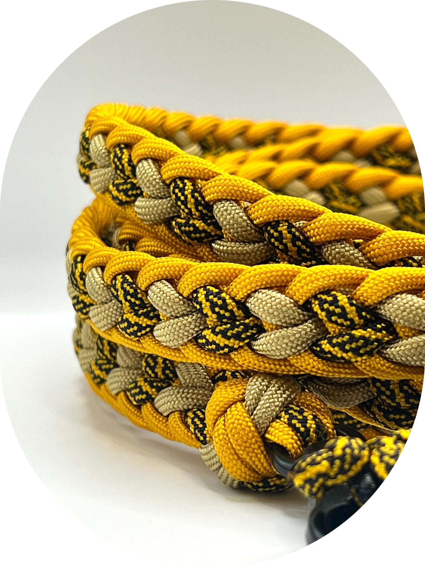 Guinzaglio Tuono per Cani | Robusto, Sicuro e Audace