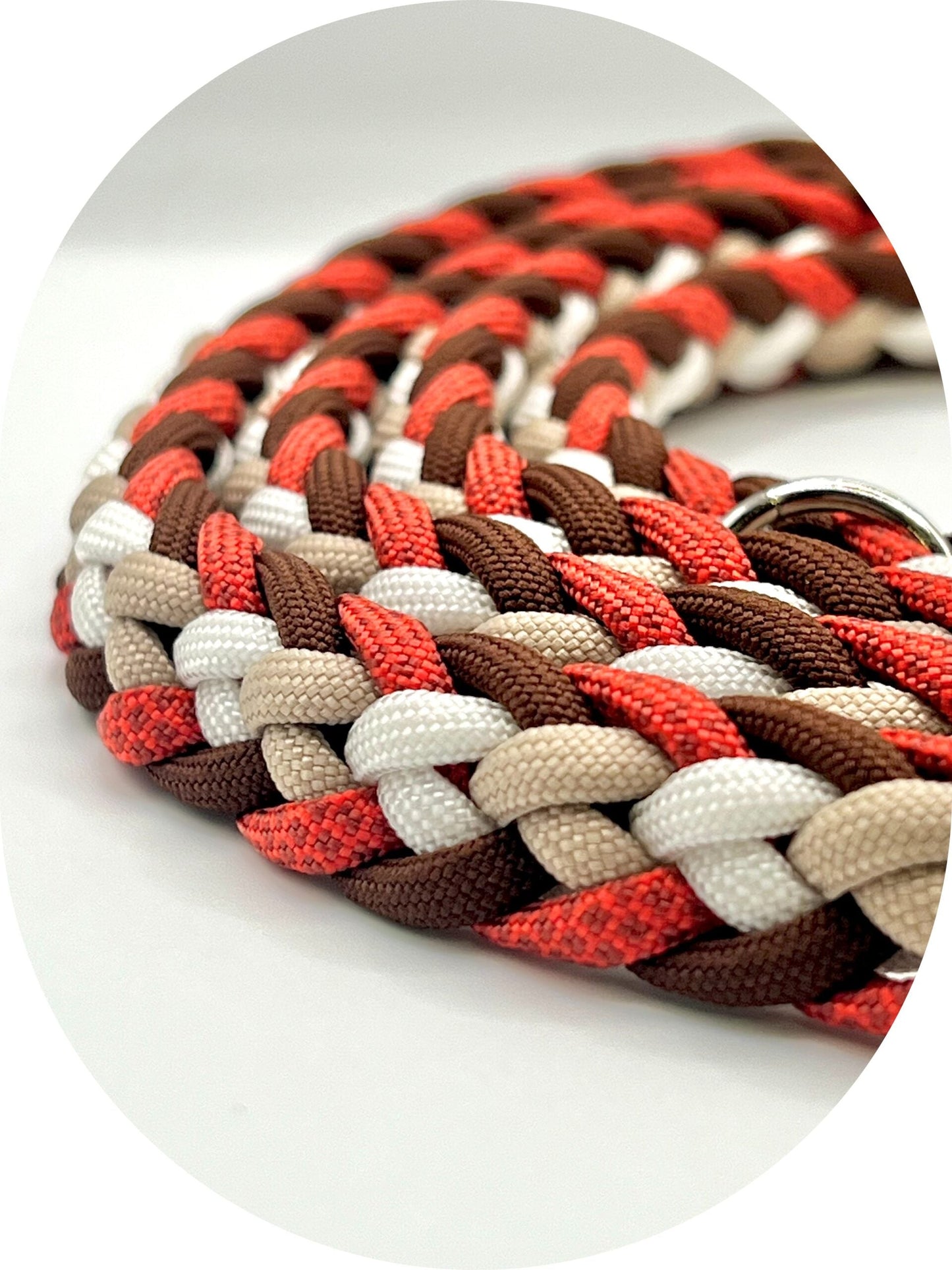 Guinzaglio Coraggio per Cani | Sicurezza e Carattere