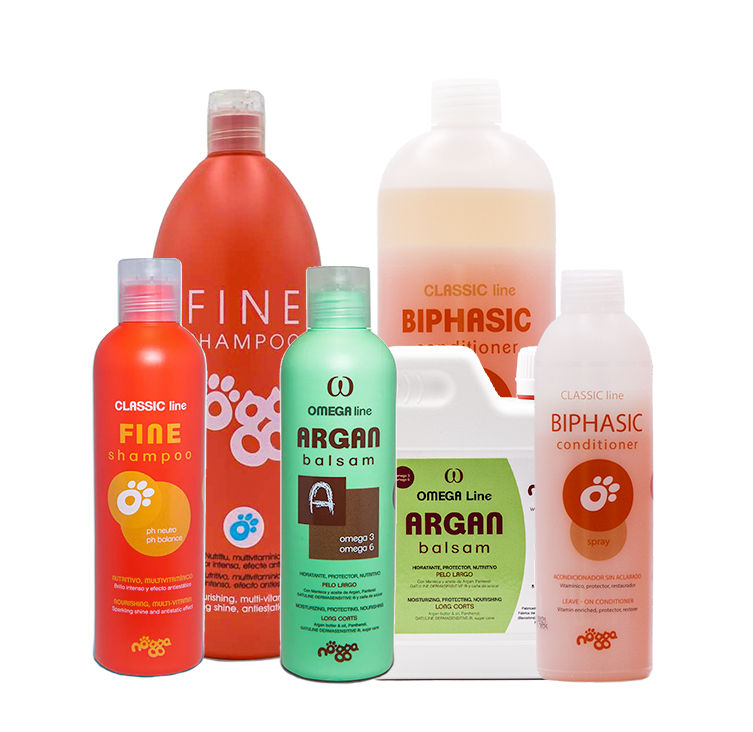 Volume Vitale Nogga Italia