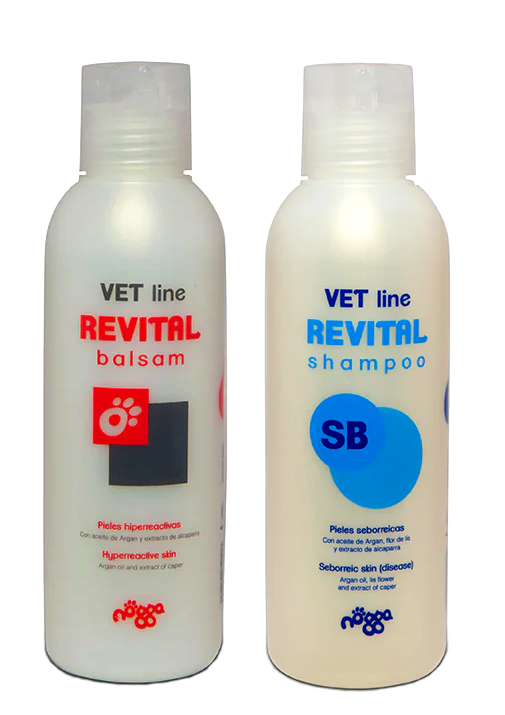 Kit Anti-Seborrea per Cani – Pelle Equilibrata e Pelo Sano