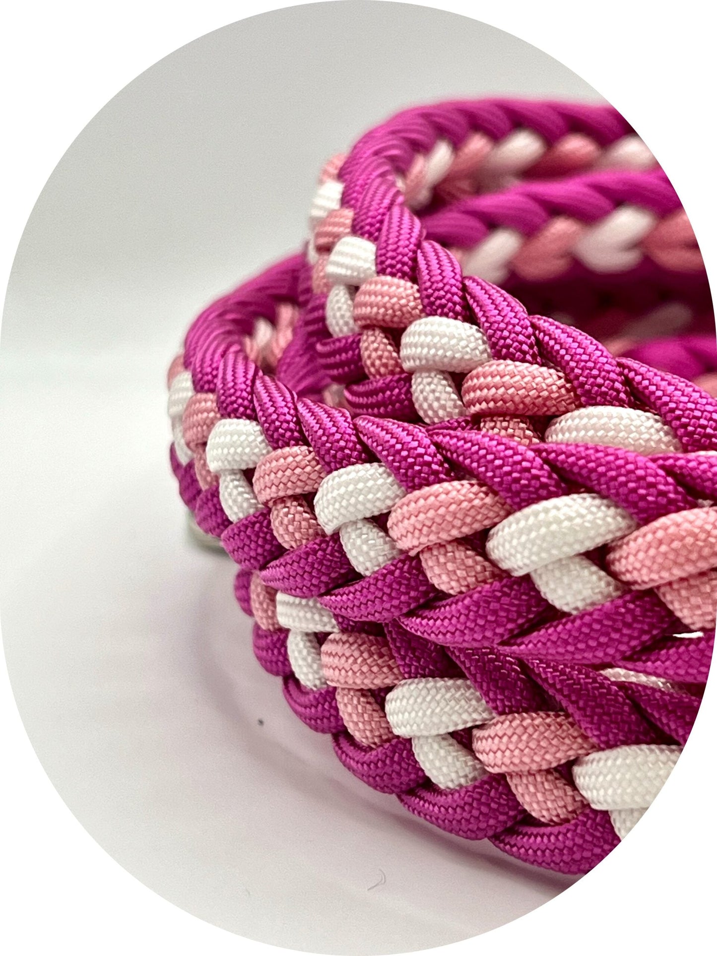 Guinzaglio Aurora per Cani | Design Colorato e Luminoso