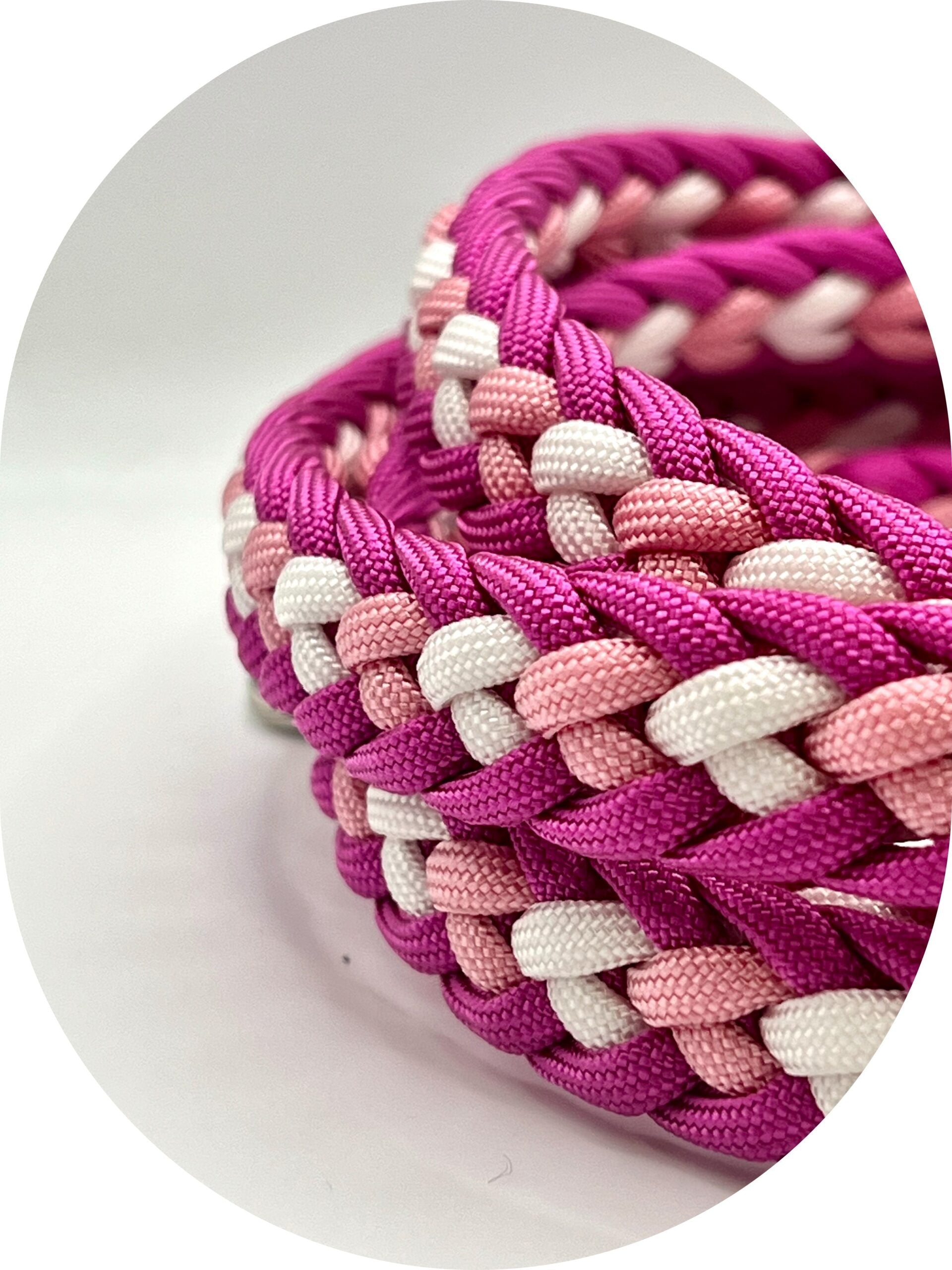 Guinzaglio Aurora per Cani | Design Colorato e Luminoso